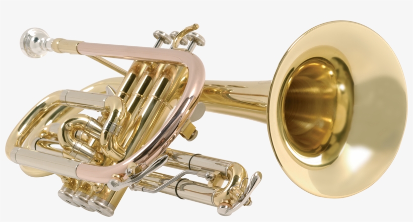 Instrumentos De Banda Png, transparent png #8281392