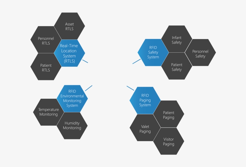 Borda Technology - Diagram, transparent png #8281802
