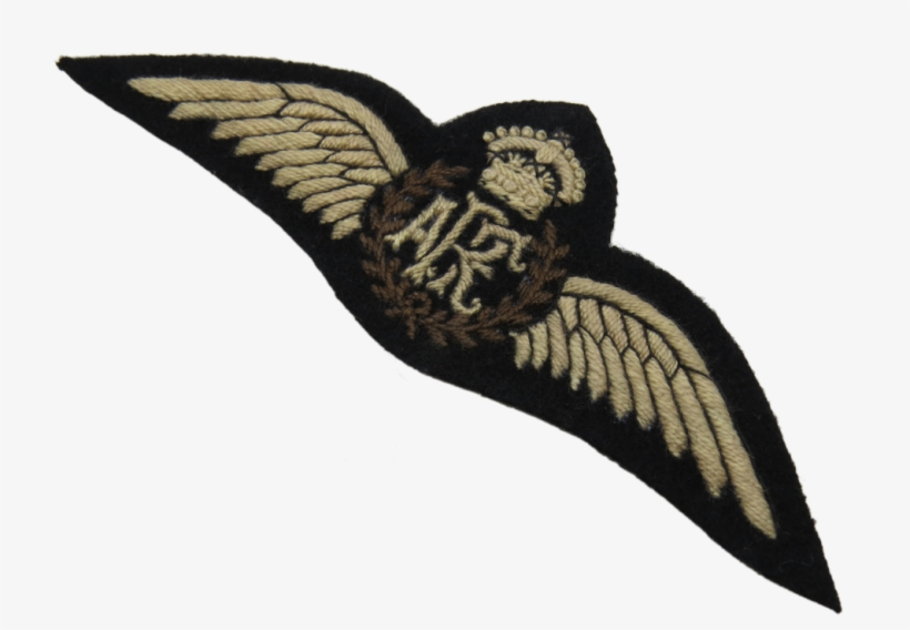 Bald Eagle, transparent png #8282118