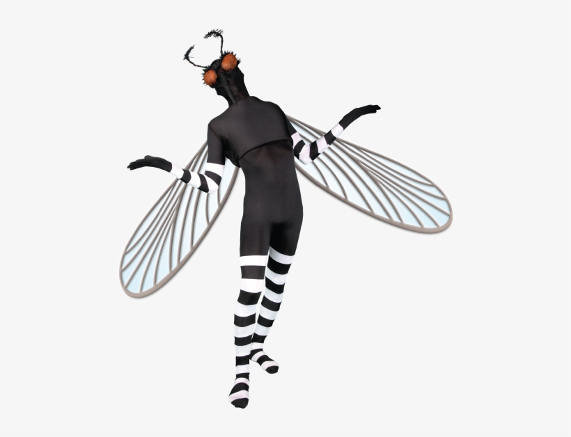 Nuestros Programas - Illustration, transparent png #8282337