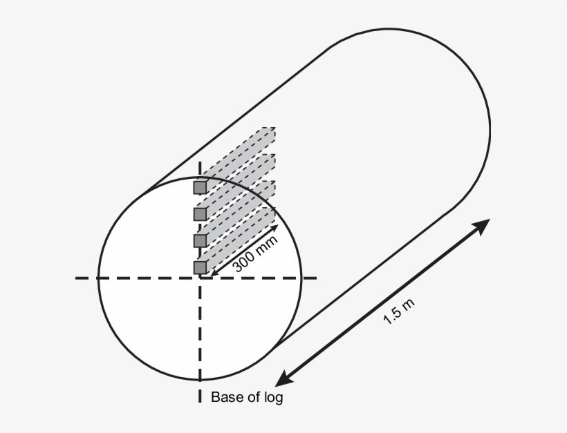 Cutting Pattern For The Small Clear Wood Samples - Circle, transparent png #8283143