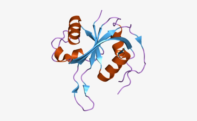 Pdb 2zbn Ebi, transparent png #8283777