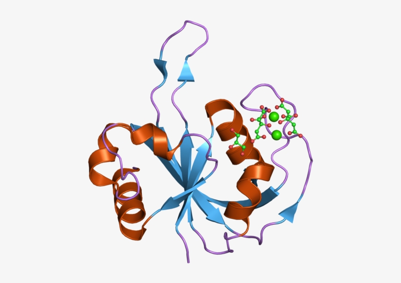 Pdb 2hd9 Ebi - Illustration, transparent png #8284067