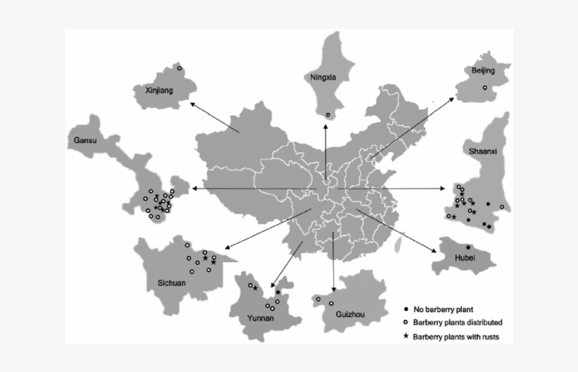 850 X 447 2 - China Map, transparent png #8284309