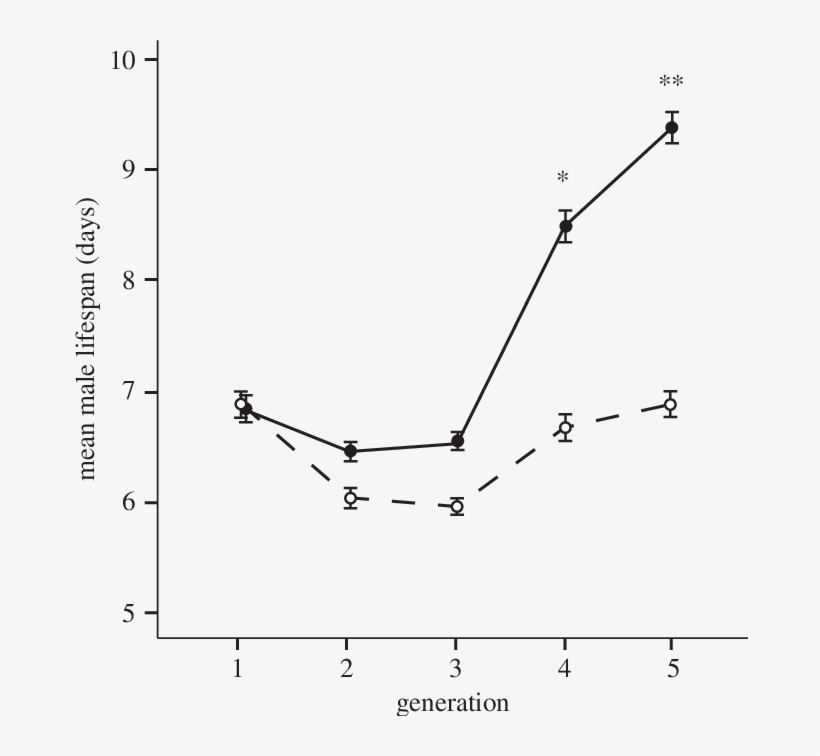 Mean Lifespan S - Diagram, transparent png #8284828