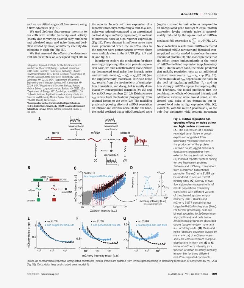 Back Issues - Text Page - Holy Land - The Necropolis, transparent png #8285860