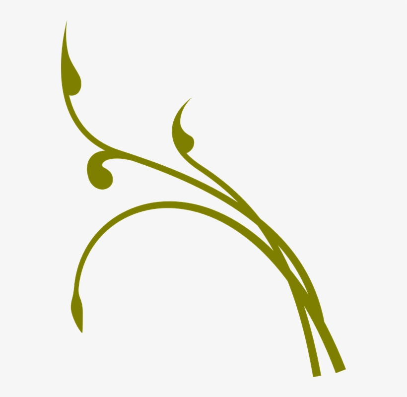 Flourish Clipart Vine Vines Clipart Png Free Transparent PNG