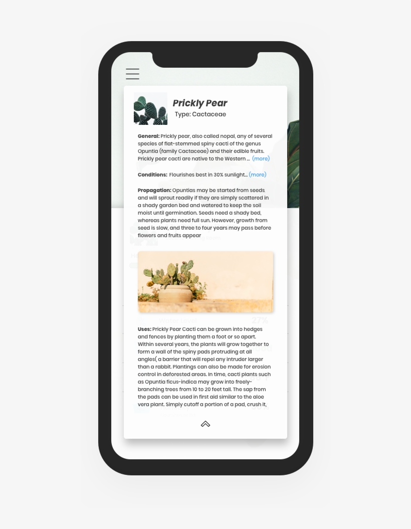 Plant Profile Information, transparent png #8286114