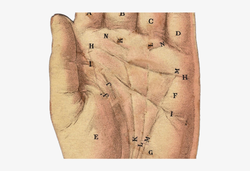 Hand Clipart Vintage - Pamistri Png, transparent png #8287513