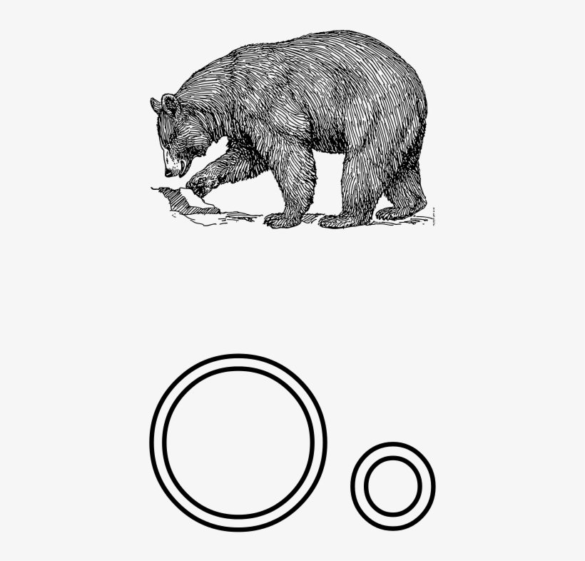 Realistic Bear Clip Art, transparent png #8287834