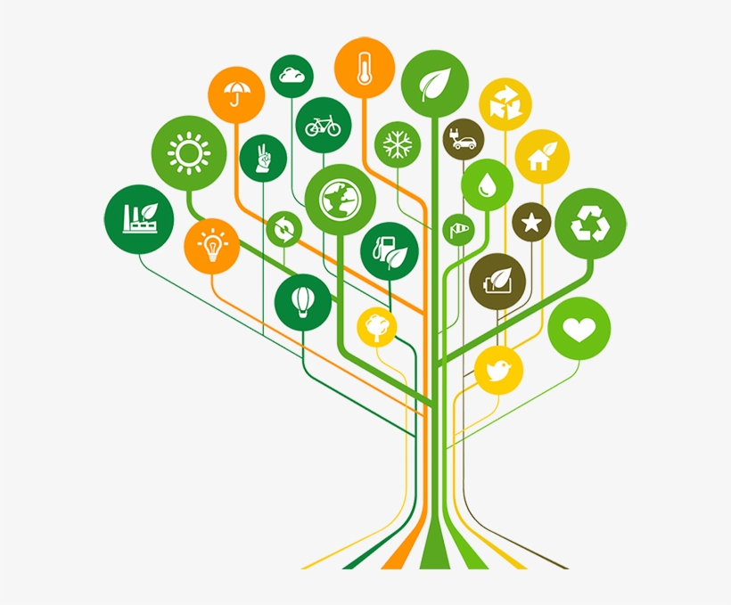 With Enviro-waste, You Get A Waste Management Partner - Circles In Brain, transparent png #8288739