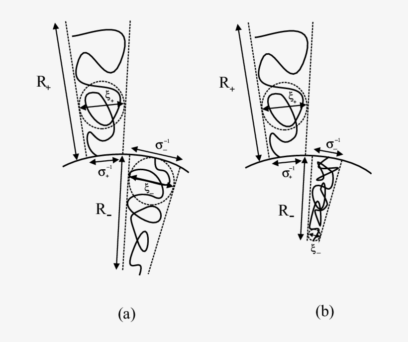 Illustration Of The Blob Picture For Side Chains For - Technical Drawing, transparent png #8288795