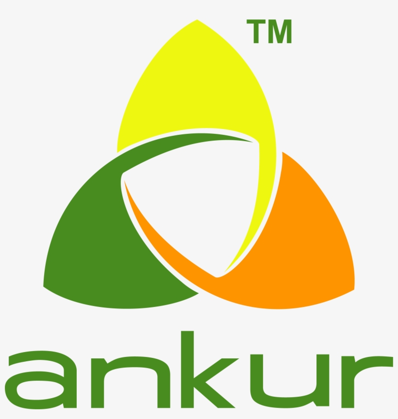 Ankur Scientific - Graphic Design, transparent png #8289286