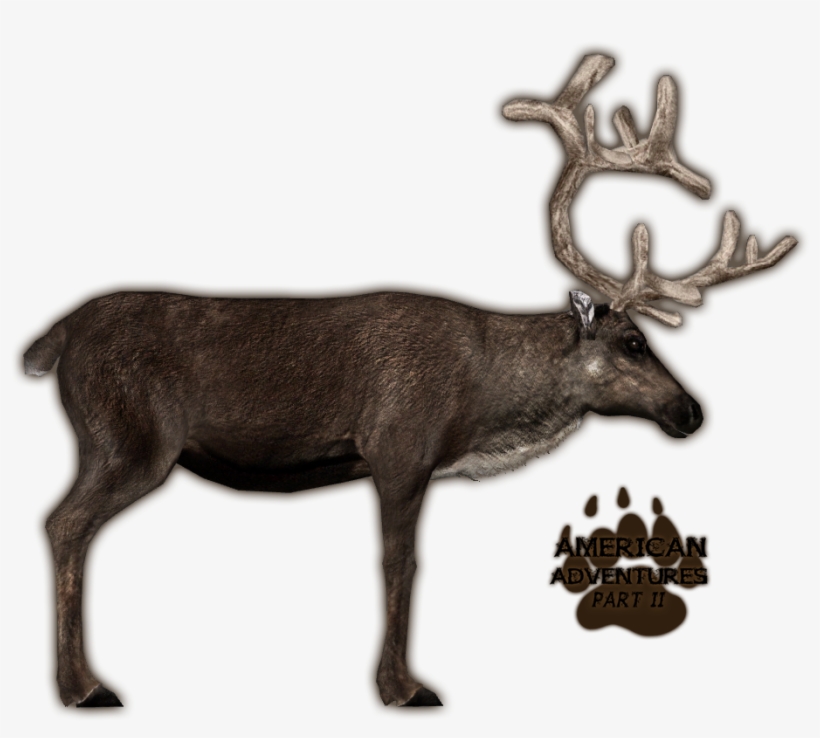 Caribougrants Jimmyzhoopz - Zoo Tycoon 2 Reindeer, transparent png #8289462