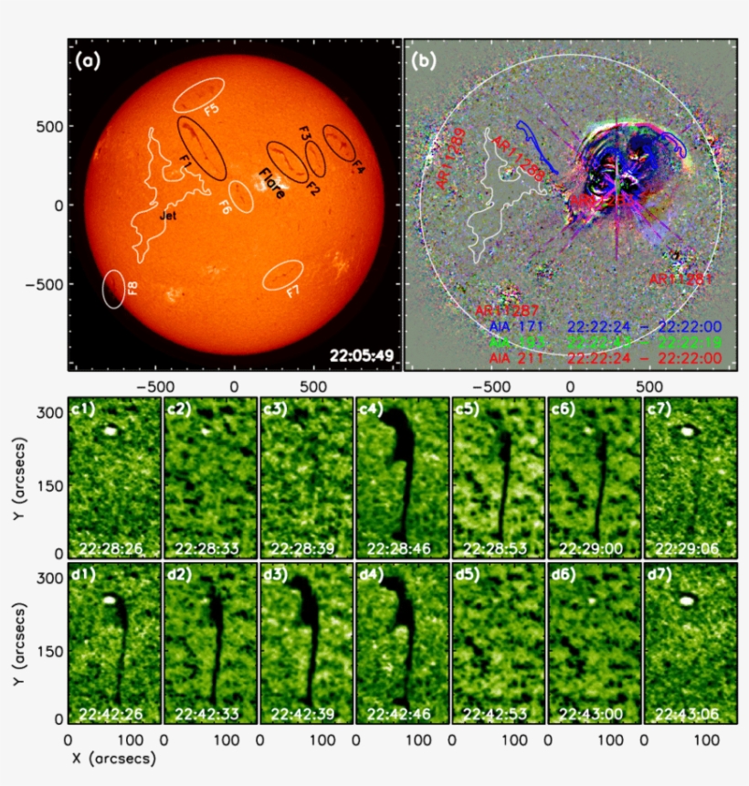 The First Case - Graphic Design, transparent png #8290210