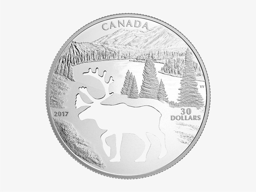 Endangered Animal Cutout - Woodland Caribou Cutout, transparent png #8290488