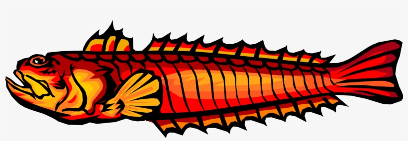 Vector Illustration Of Deep Sea Marine Aquatic Fish, transparent png #8290519