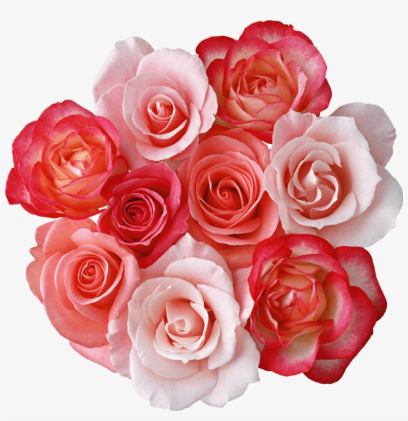 Free Png Download Roses Bouquet Png Images Background - Beautiful Dp Rose Flower, transparent png #8290590