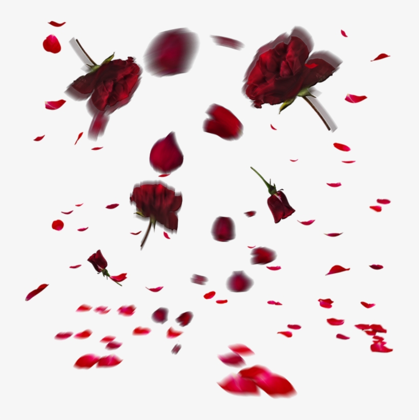 Rose Sticker - Portable Network Graphics, transparent png #8291379