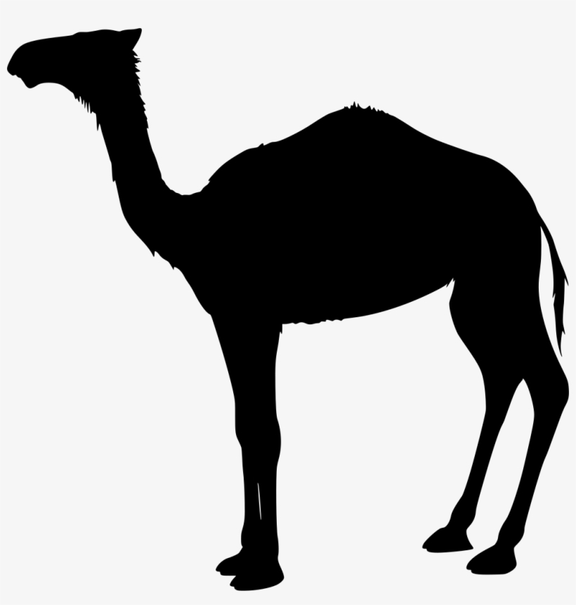 Download Png - Camel Clip Art, transparent png #8291768