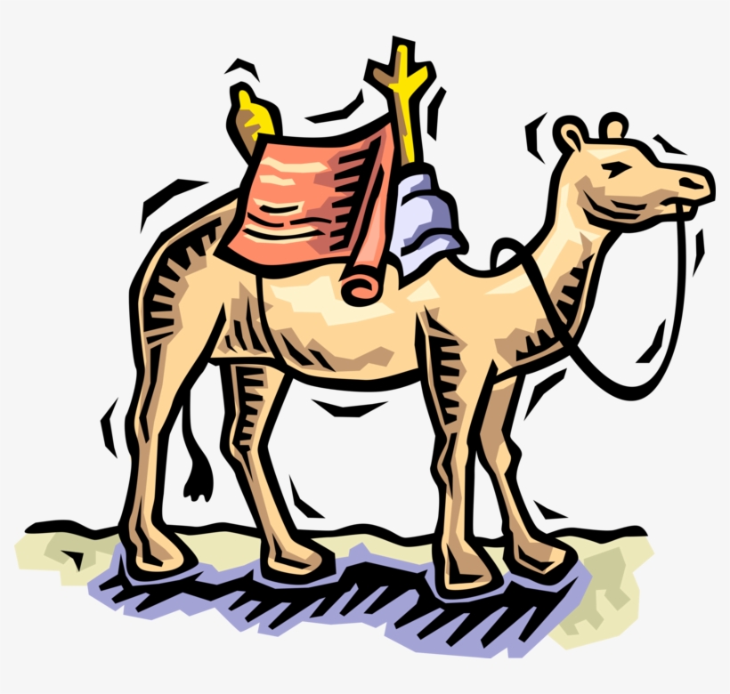 Vector Illustration Of Beast Of Burden Camel Dromedary - Camel Clip Art -  Free Transparent PNG Download - PNGkey
