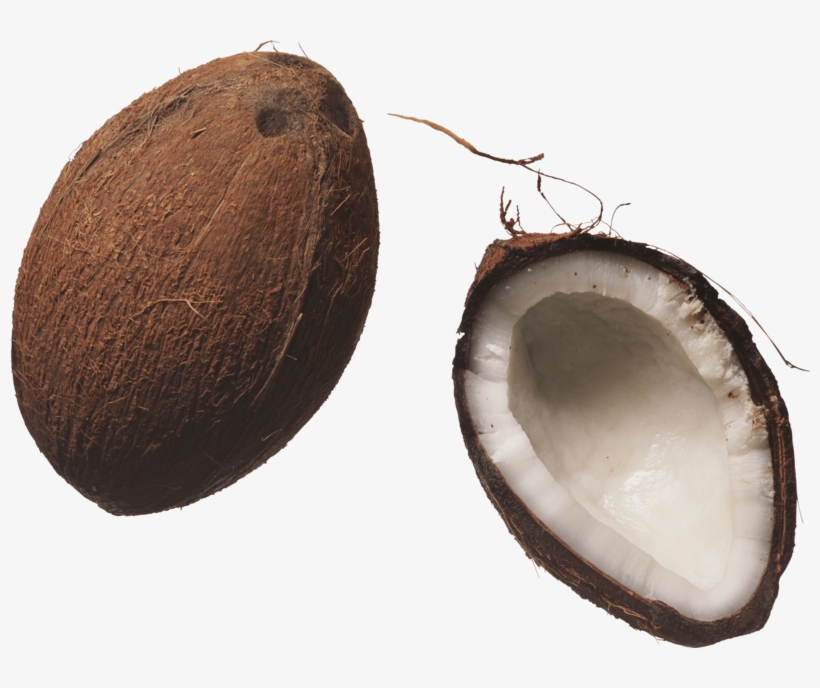 Coconut - 2 Coconut Clipart Png, transparent png #8291882
