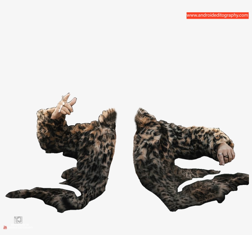 Cheetah Jacket Png - Cat Grabs Treat, transparent png #8291966
