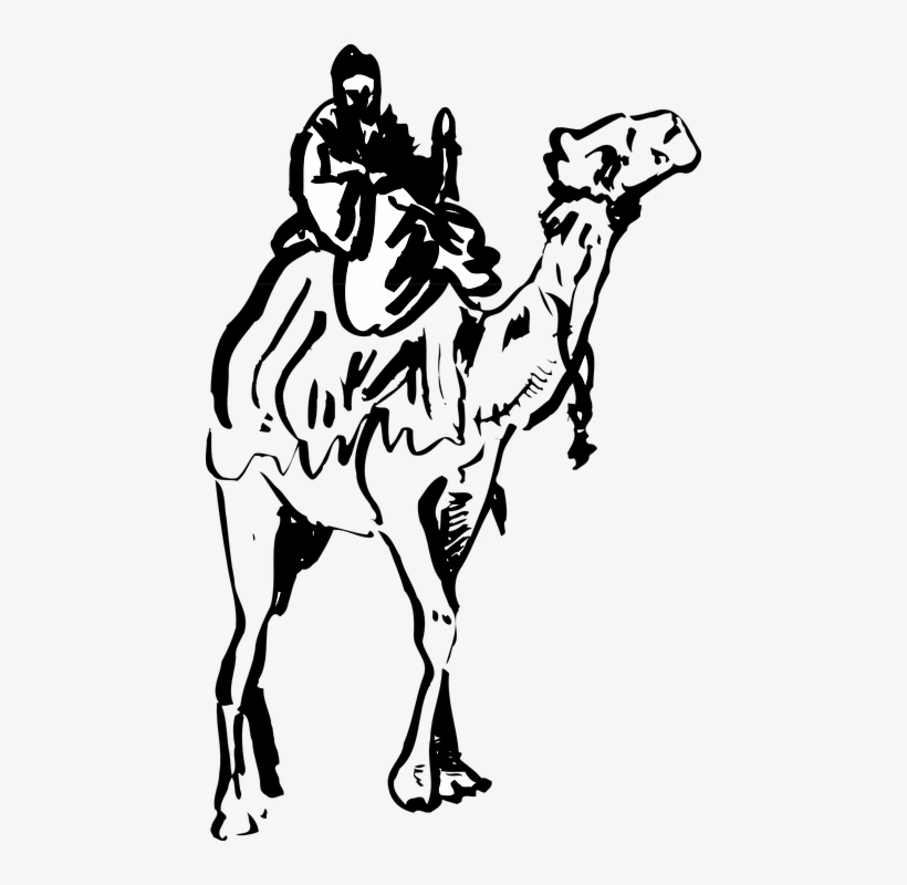 camels in desert clipart