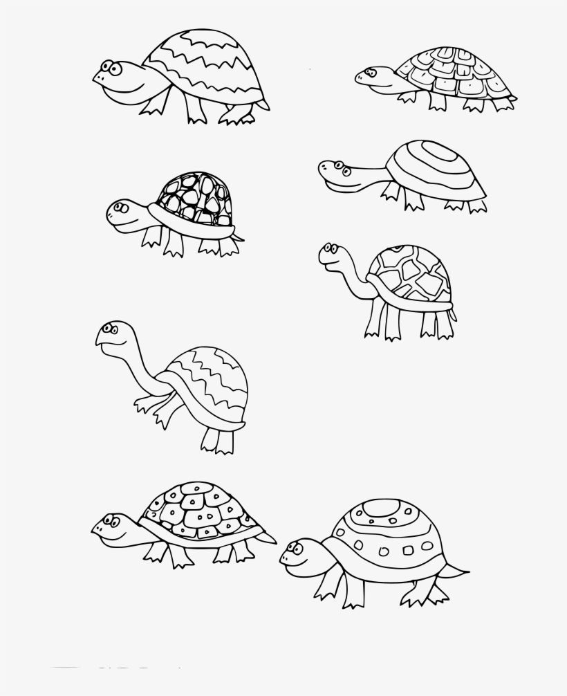 Download Png - ภาพ วาด เต่า การ์ตูน, transparent png #8292612