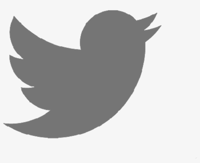 Twiiter The App Office - Single Logos For Quiz, transparent png #8292805