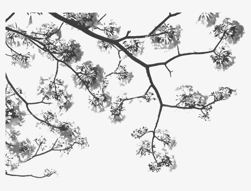 Bella And Edward Lockscreen, transparent png #8293413