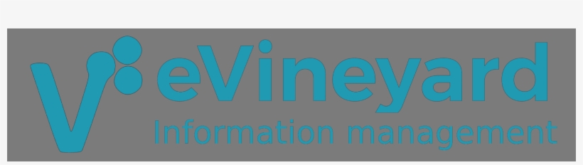 Homepage - Graphic Design, transparent png #8293715