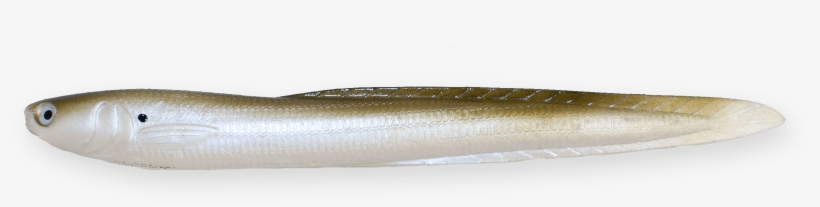 Green Shad - Lunge, transparent png #8293817