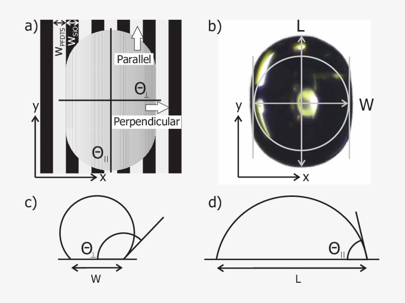 Color Online Quantifying Anisotropic Drops - Circle, transparent png #8294103