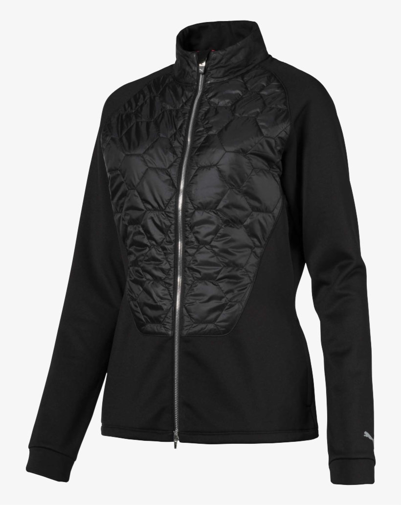 Images - Coat, transparent png #8295536