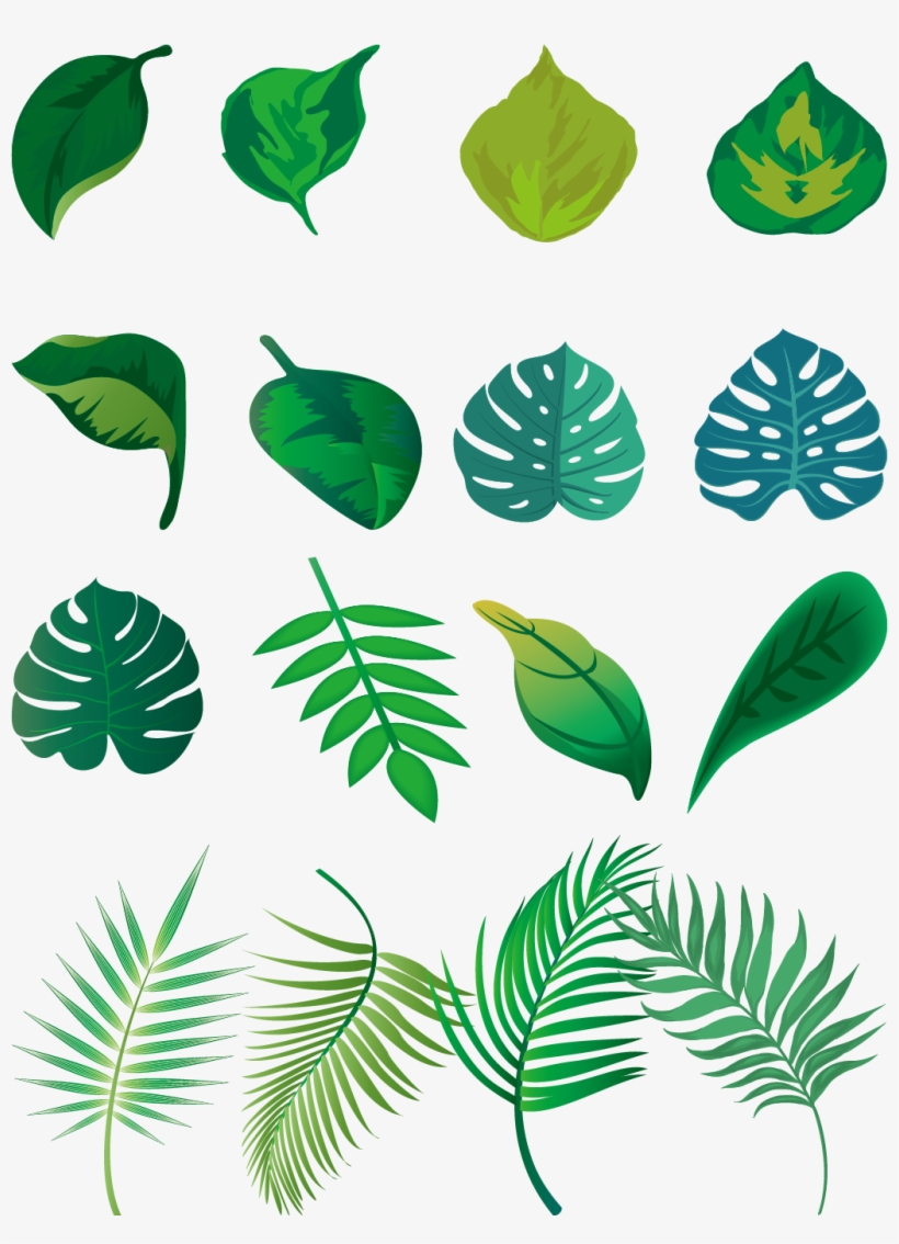 Hand Painted Fresh Green Leaves Png And Vector Image - Leaf, transparent png #8295765
