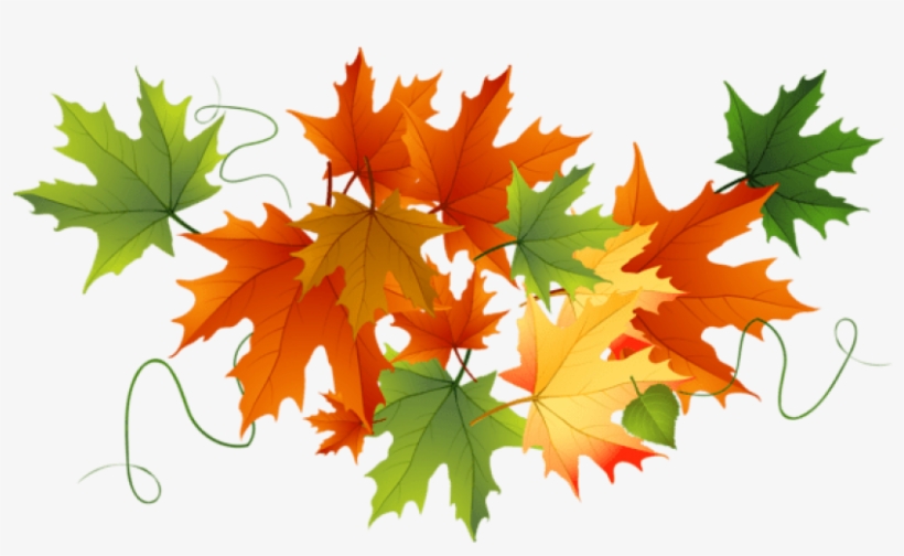 Free Png Download Autumn Transparent Leaves Clipart - Fall Leaves No Background, transparent png #8296214