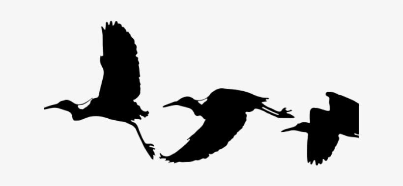 Migration Clipart Flying Bird - Drawing Birds Silhouette Flying, transparent png #8297392