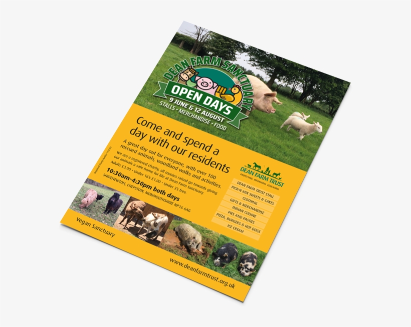 Flyer, transparent png #8297778