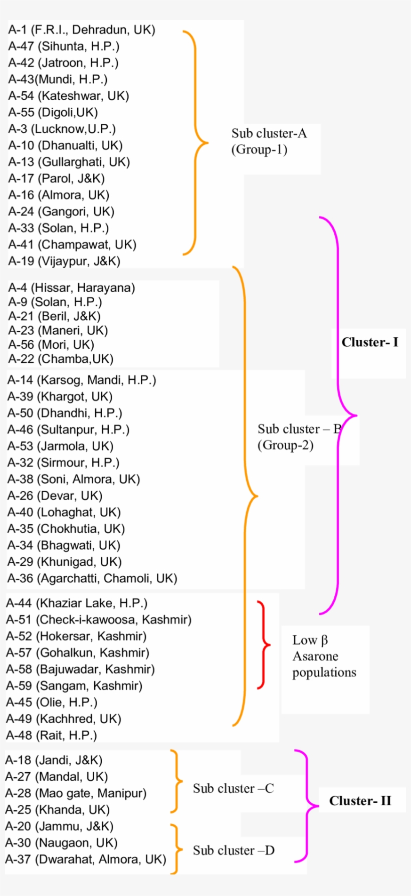 Dendrogram Developed Using Upgma Based - Diagram, transparent png #8299272