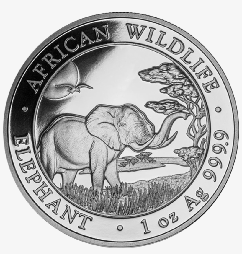 2019 Somalian Elephant 1oz Silver Coin - Elephant Coin, transparent png #8299627