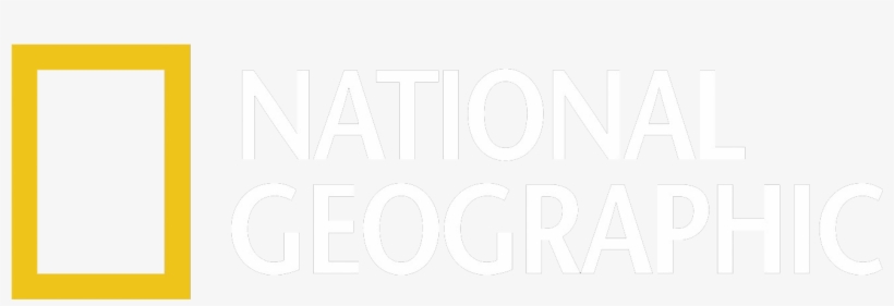 Nat Geo - Search - Line Art, transparent png #830122