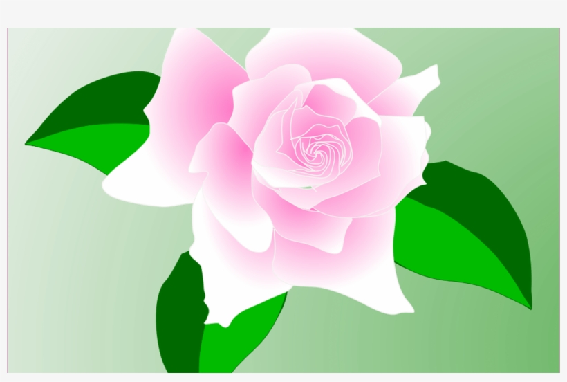 Free Rose Vector, Download Free Clip Art, Free Clip - Pink Rose Clip Art, transparent png #830286