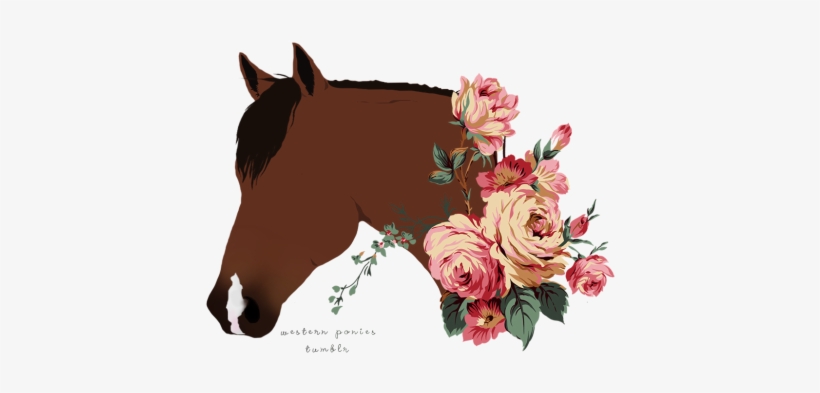 Png Horse, transparent png #830542