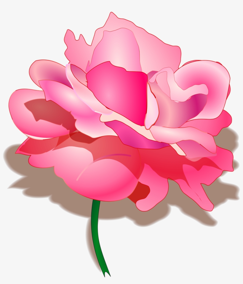 Pink Rose Clipart Beautiful Flower - Happy Raksha Bandhan Shayari, transparent png #830814