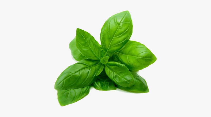Basil - Poo-pourri Poo-tonium Spritz The Bowl Before You Go, transparent png #831244