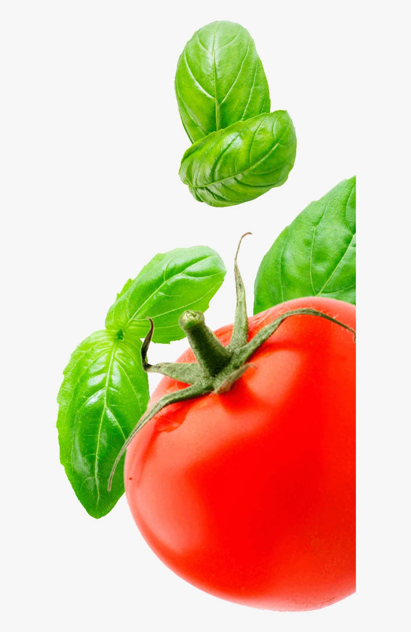 Afbeelding Rechts - Tomato And Basil Png, transparent png #831639