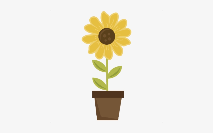 Sunflower In Pot Svg Scrapbook Title Sunflower Svg - Sunflower In A Pot Clipart, transparent png #833524