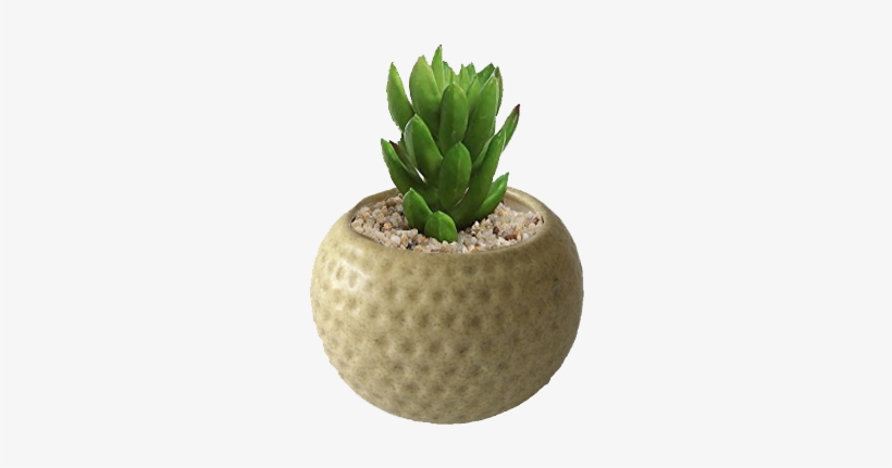 Matte Finished Dotted Ceramic Pot - Small Plant Pot Png, transparent png #833549