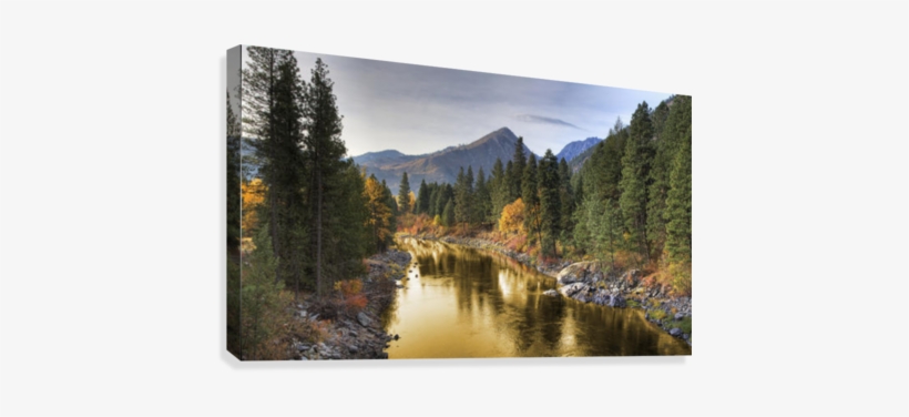 Composite Entitled 'river Of Gold' Taken From A Bridge - Fotoprint: Composite Entitled 'river Of Gold' Taken, transparent png #833667